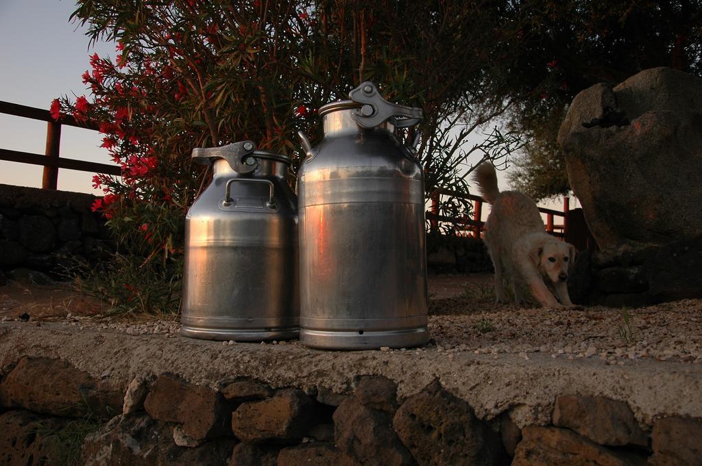 Agriturismo Codula Fuili Cala Gonone Ngoại thất bức ảnh