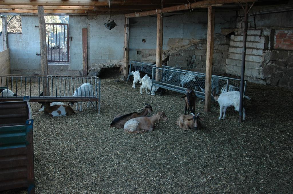 Agriturismo Codula Fuili Cala Gonone Ngoại thất bức ảnh